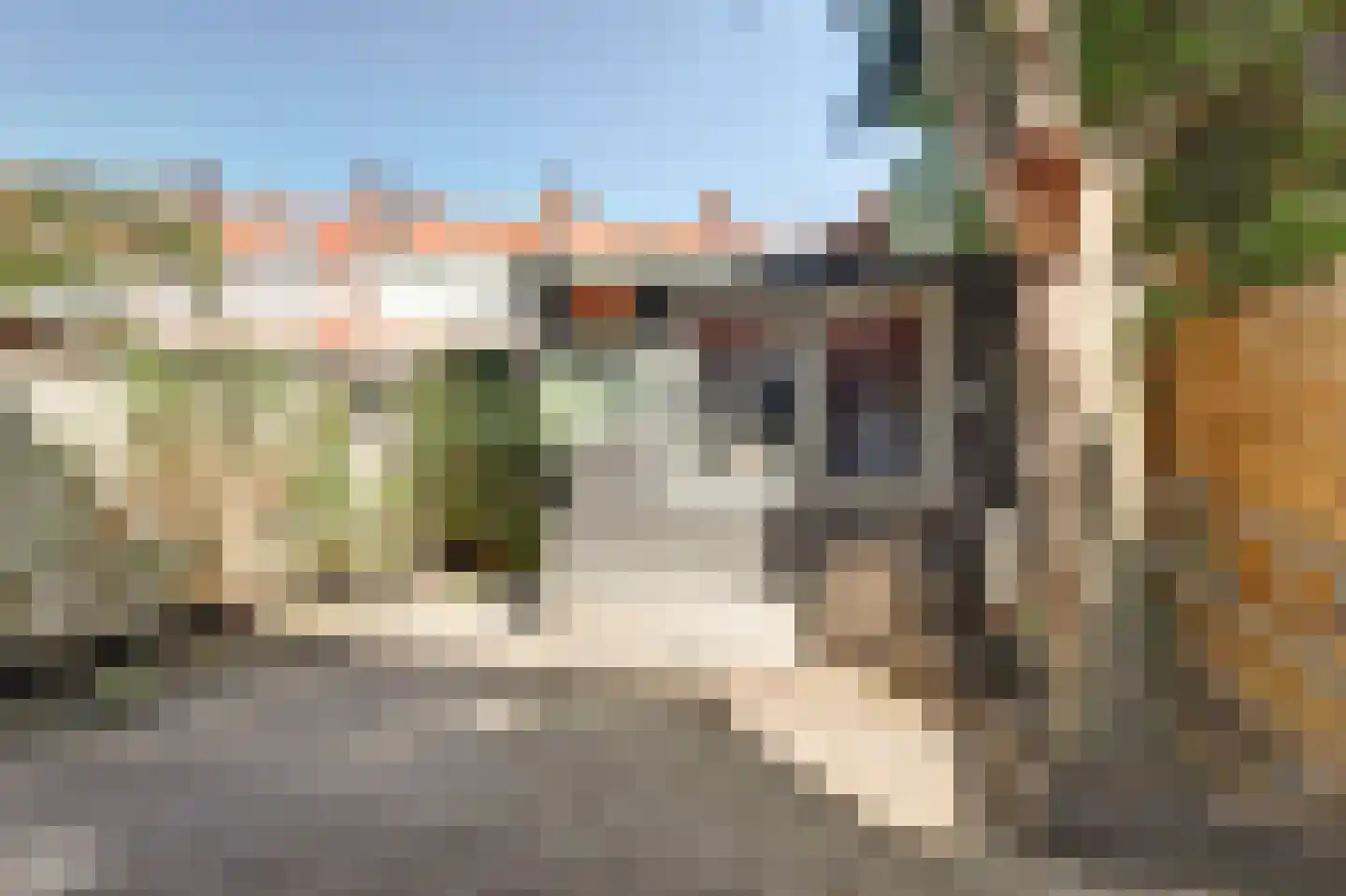 Schimmelweg 26 Den Haag thumbnail 7