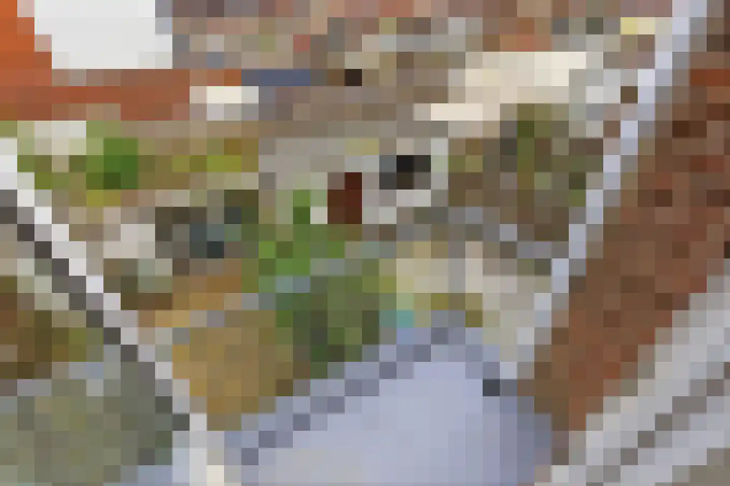 Schimmelweg 367 Den Haag thumbnail 36