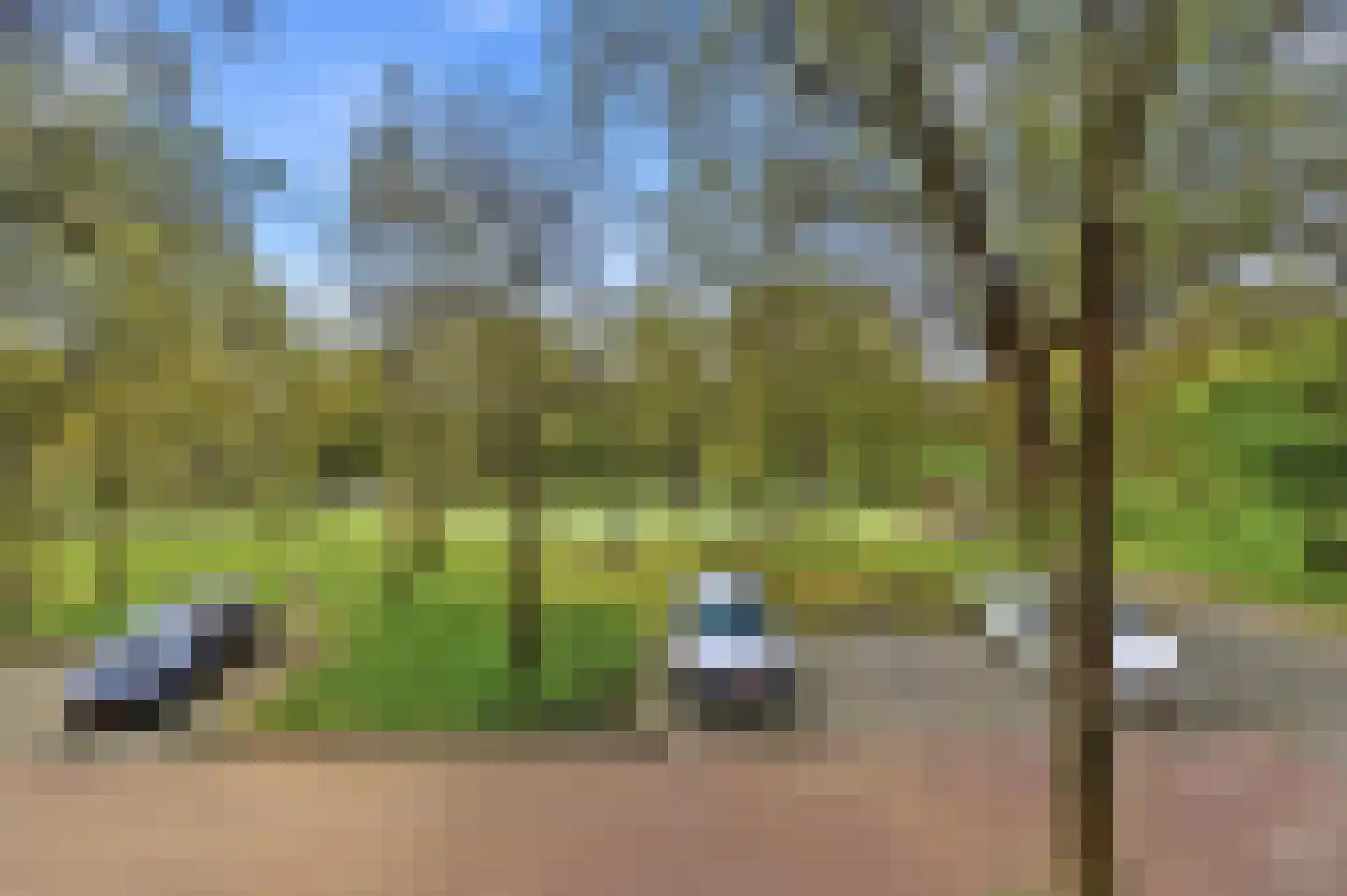 Schimmelweg 367 Den Haag thumbnail 49