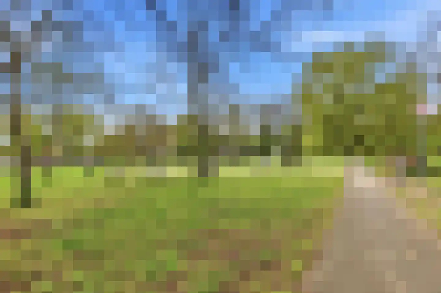 Schimmelweg 367 Den Haag thumbnail 61