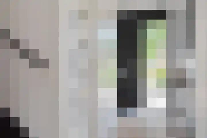 Schimmerweg 11 Emmen thumbnail 10