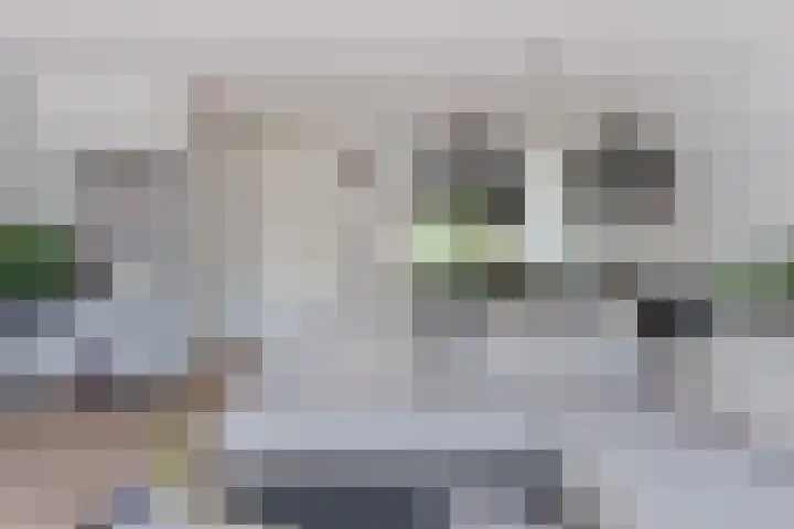 Schimmerweg 11 Emmen thumbnail 17