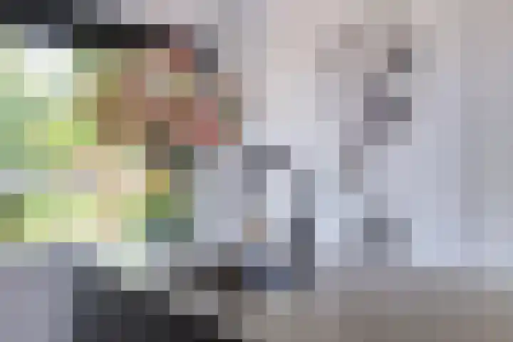 Schimmerweg 11 Emmen thumbnail 21