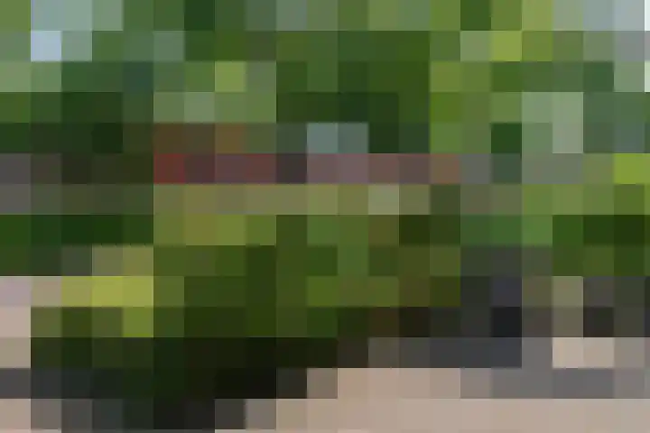 Schimmerweg 11 Emmen thumbnail 8