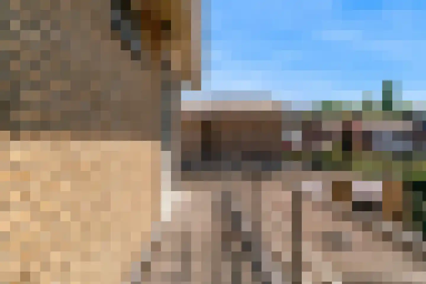 Schinderspark 5 Reuver thumbnail 44