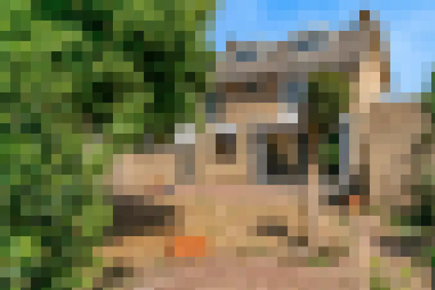 Schinderspark 5 Reuver thumbnail 48