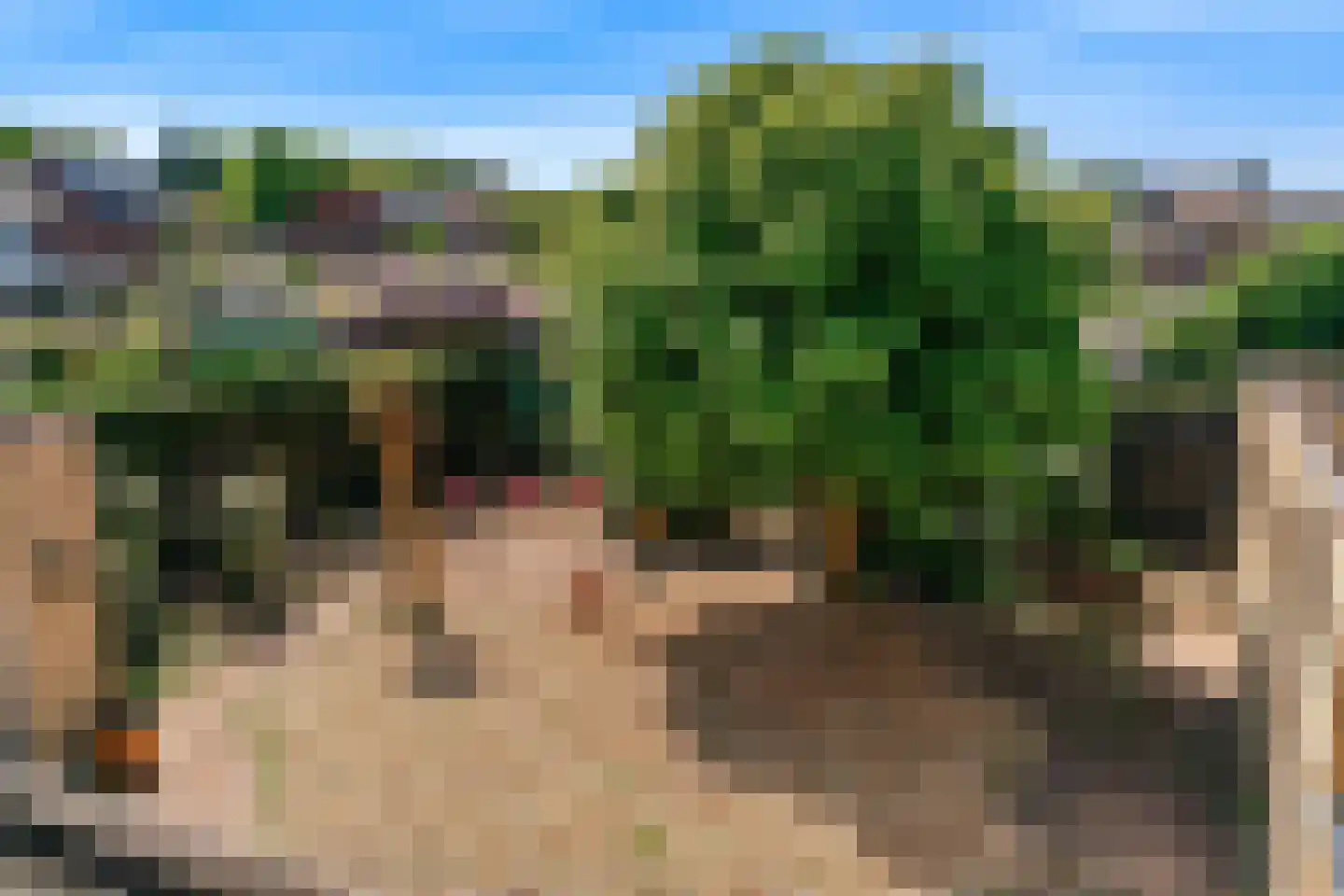 Schinderspark 5 Reuver thumbnail 51