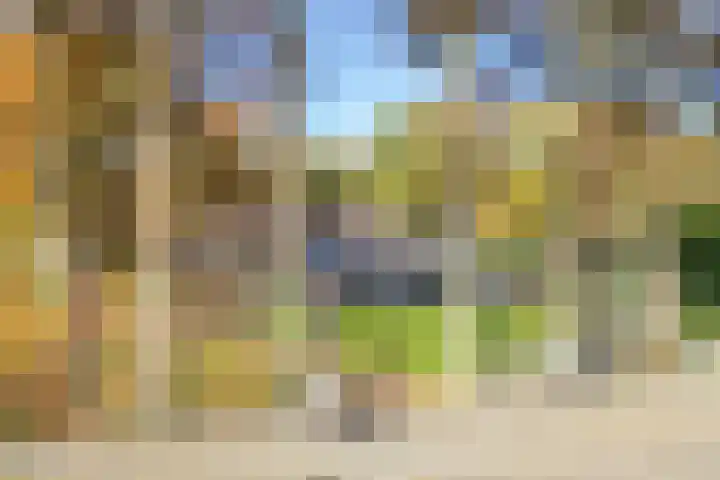 Schinheuvel 15 c Reuver thumbnail 4