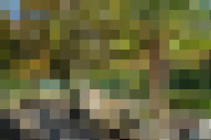 Schinheuvel 15 c Reuver thumbnail 40