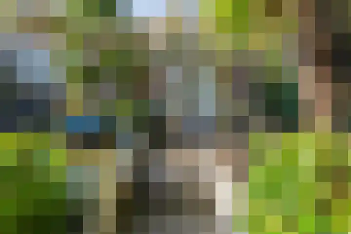 Schinheuvel 15 c Reuver thumbnail 47