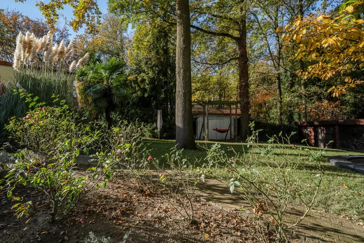 Schinheuvel 15 c Reuver thumbnail 49