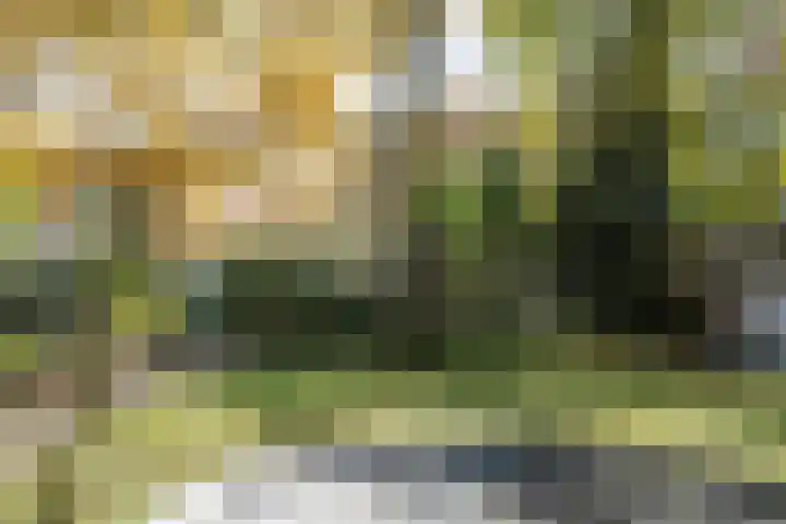 Schinheuvel 15 c Reuver thumbnail 5