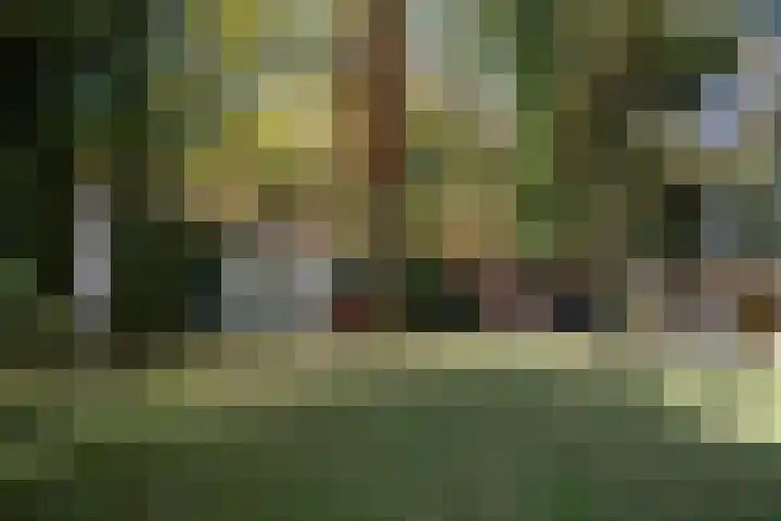 Schinheuvel 15 c Reuver thumbnail 53