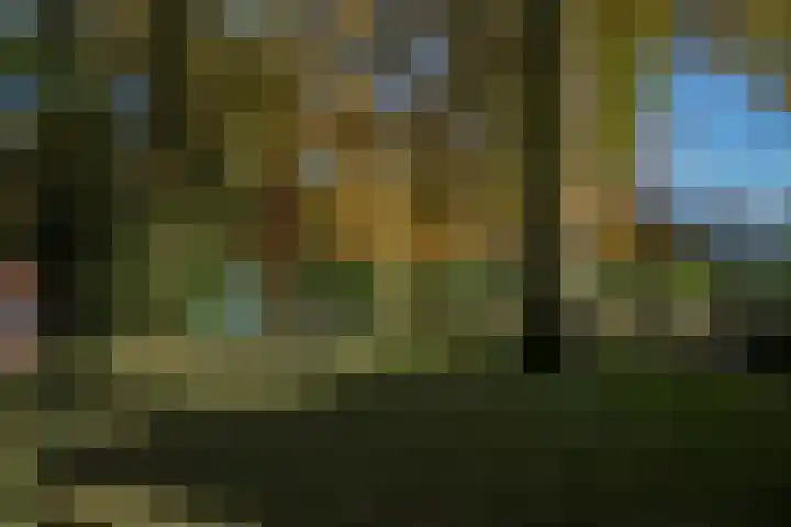 Schinheuvel 15 c Reuver thumbnail 55