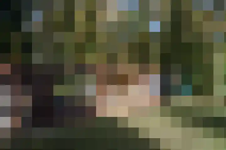 Schinheuvel 15 c Reuver thumbnail 56
