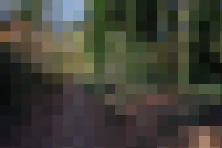 Schinheuvel 15 c Reuver thumbnail 61
