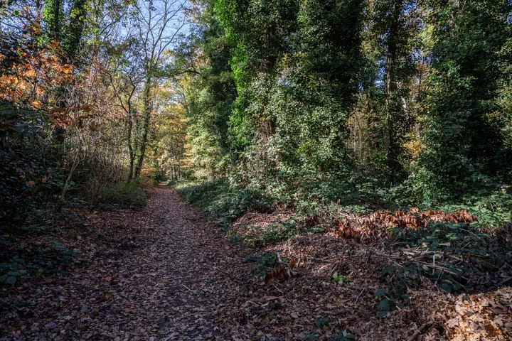 Schinheuvel 15 c Reuver thumbnail 61