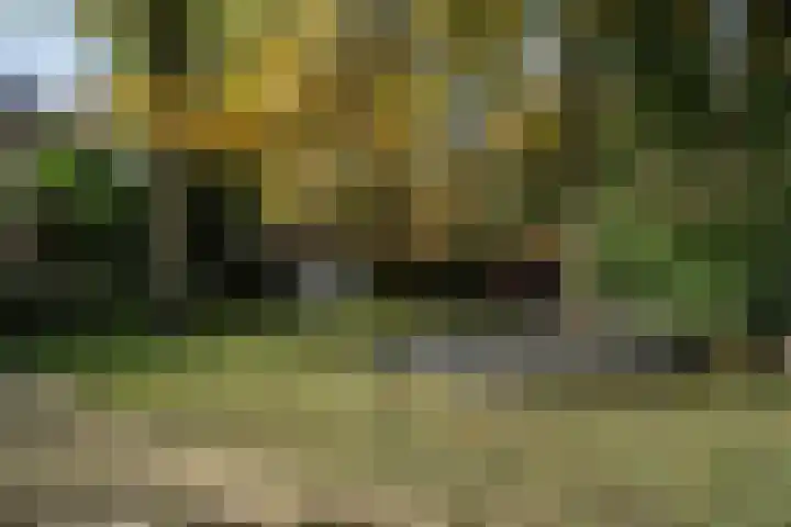 Schinheuvel 15 c Reuver thumbnail 65
