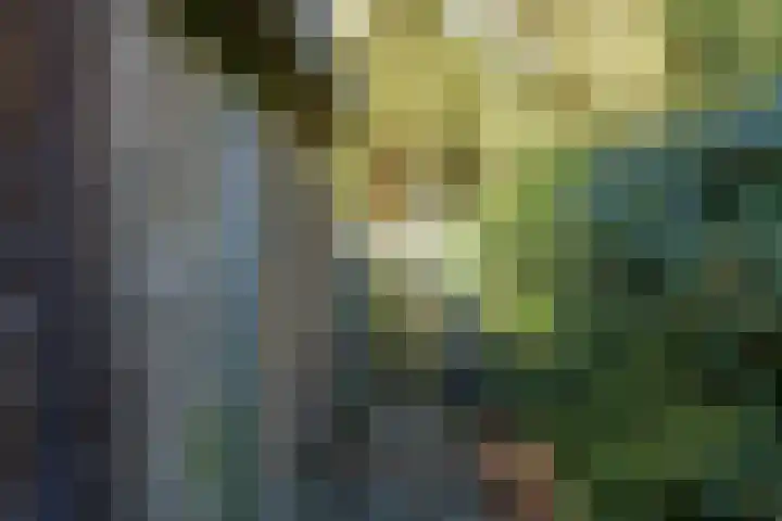 Schinheuvel 15 c Reuver thumbnail 8