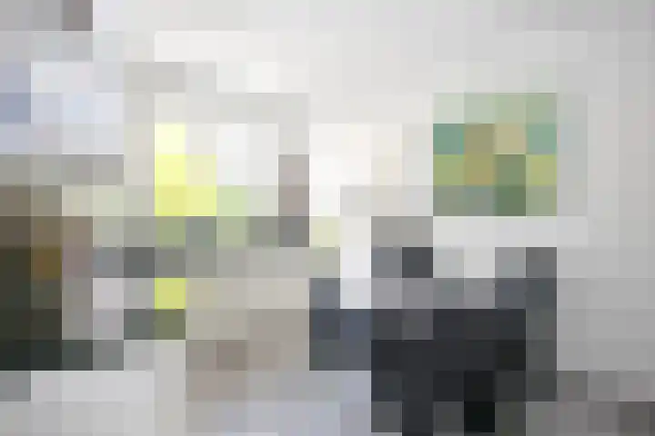 Schinheuvel 8 Reuver thumbnail 11