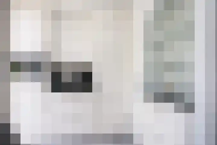 Schinheuvel 8 Reuver thumbnail 13