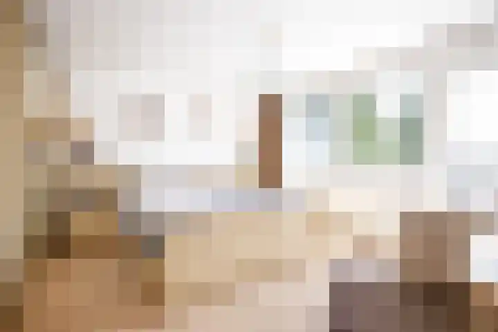 Schinheuvel 8 Reuver thumbnail 18