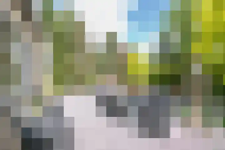 Schinheuvel 8 Reuver thumbnail 30