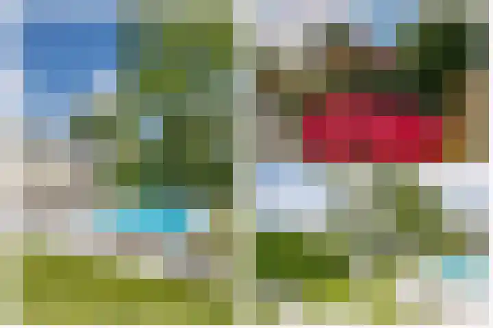 Schinheuvel 8 Reuver thumbnail 35