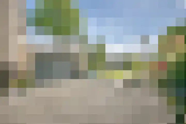 Schinheuvel 8 Reuver thumbnail 38