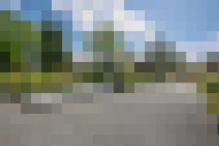Schinheuvel 8 Reuver thumbnail 40
