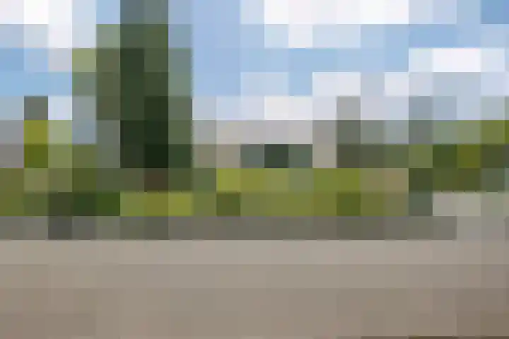 Schinheuvel 8 Reuver thumbnail 41