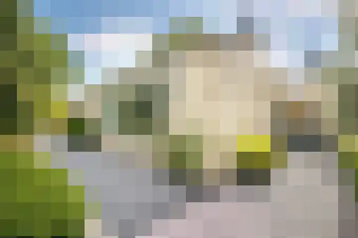 Schinheuvel 8 Reuver thumbnail 42