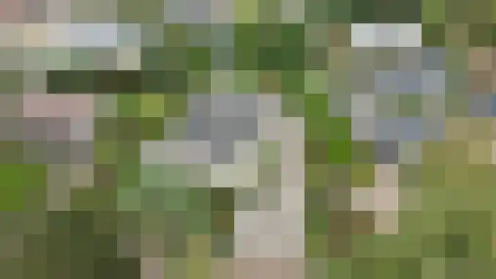 Schinheuvel 8 Reuver thumbnail 43