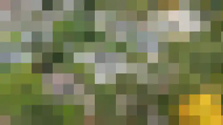 Schinheuvel 8 Reuver thumbnail 44