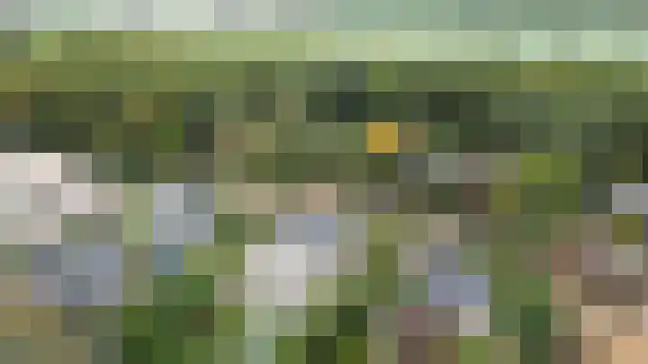 Schinheuvel 8 Reuver thumbnail 45