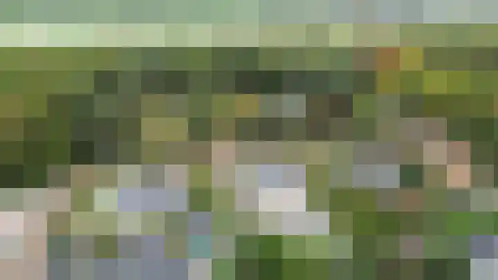 Schinheuvel 8 Reuver thumbnail 46