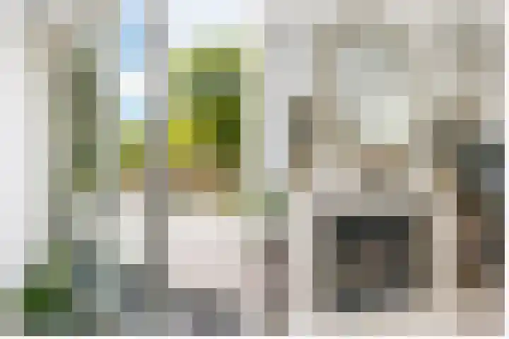Schinheuvel 8 Reuver thumbnail 6