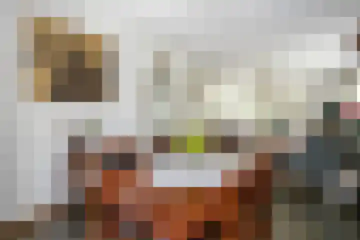 Schinheuvel 8 Reuver thumbnail 7