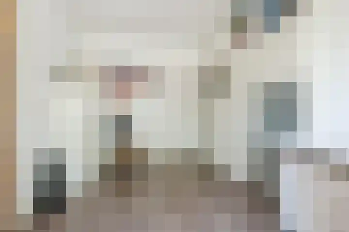 Schinkeldijk 46 Reeuwijk thumbnail 12