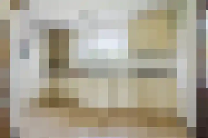 Schinkeldijk 46 Reeuwijk thumbnail 21