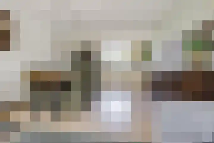 Schinkeldijk 46 Reeuwijk thumbnail 23