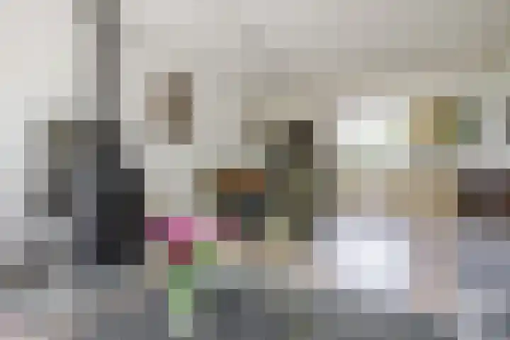 Schinkeldijk 46 Reeuwijk thumbnail 25