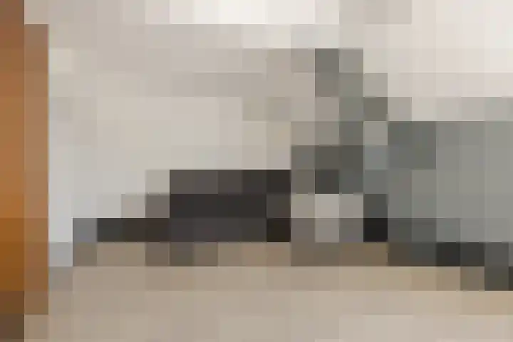 Schinkeldijk 46 Reeuwijk thumbnail 39