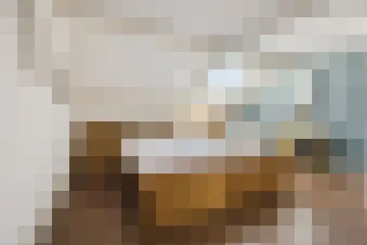 Schinkeldijk 46 Reeuwijk thumbnail 47
