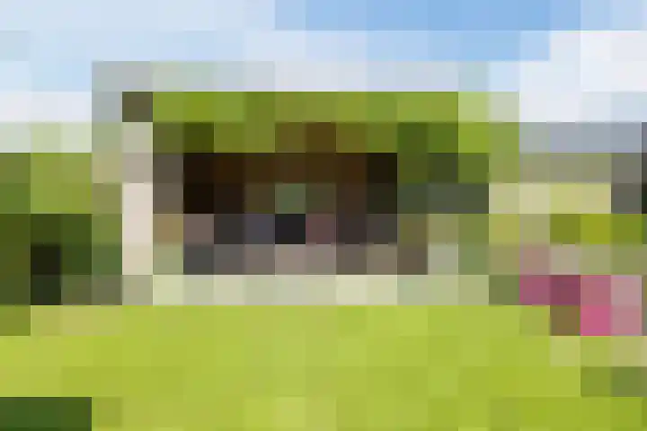 Schinkeldijk 46 Reeuwijk thumbnail 52