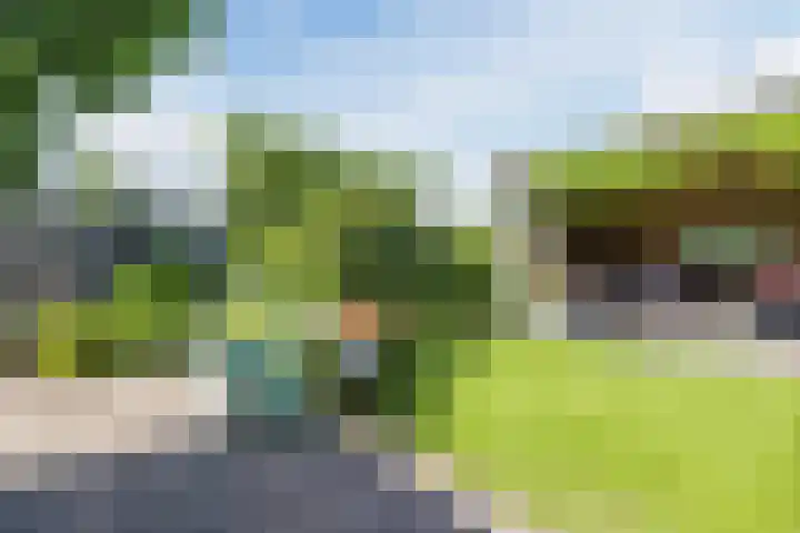 Schinkeldijk 46 Reeuwijk thumbnail 55