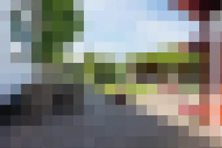 Schinkeldijk 46 Reeuwijk thumbnail 56