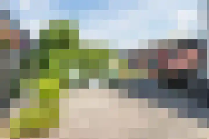 Schinkeldijk 46 Reeuwijk thumbnail 57