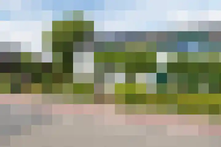 Schinkeldijk 46 Reeuwijk thumbnail 58