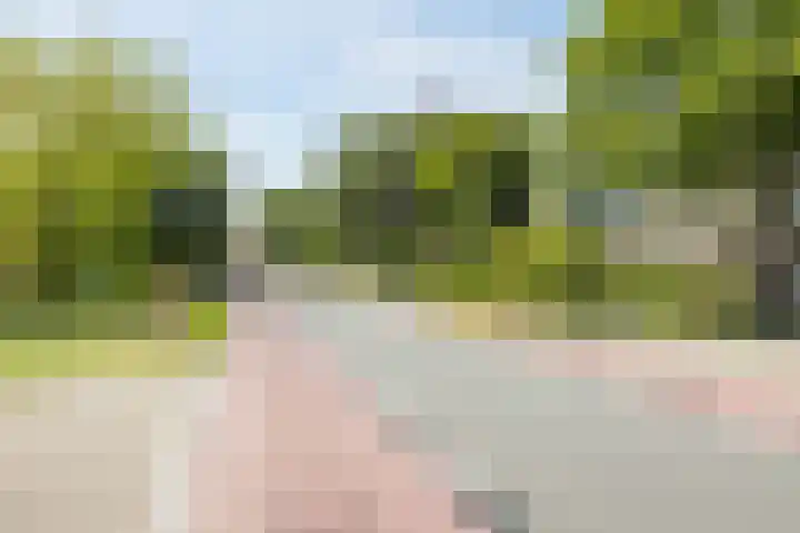 Schinkeldijk 46 Reeuwijk thumbnail 59